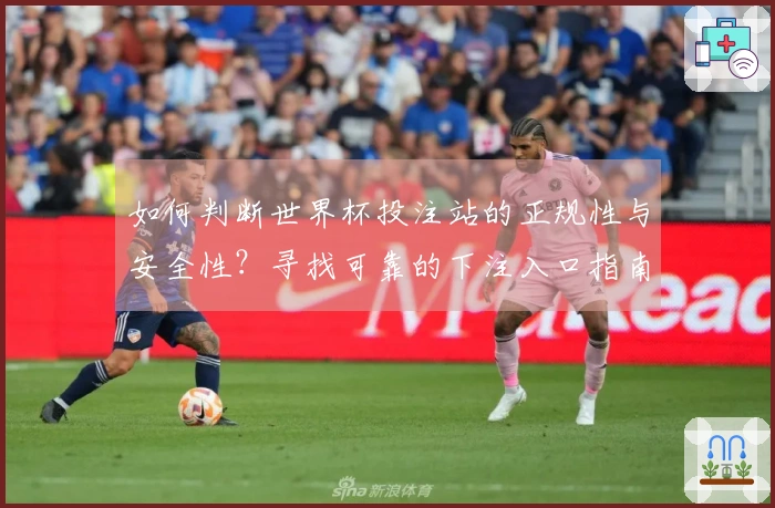 如何判断世界杯投注站的正规性与安全性？寻找可靠的下注入口指南
