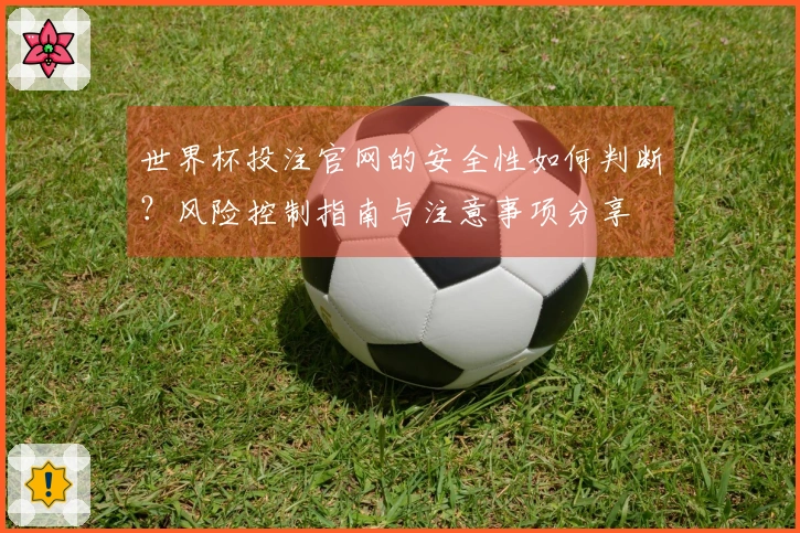 世界杯投注官网的安全性如何判断？风险控制指南与注意事项分享